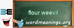 WordMeaning blackboard for flour weevil